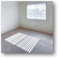 Carpet fading in direct sunlight - Landlordfloors.com